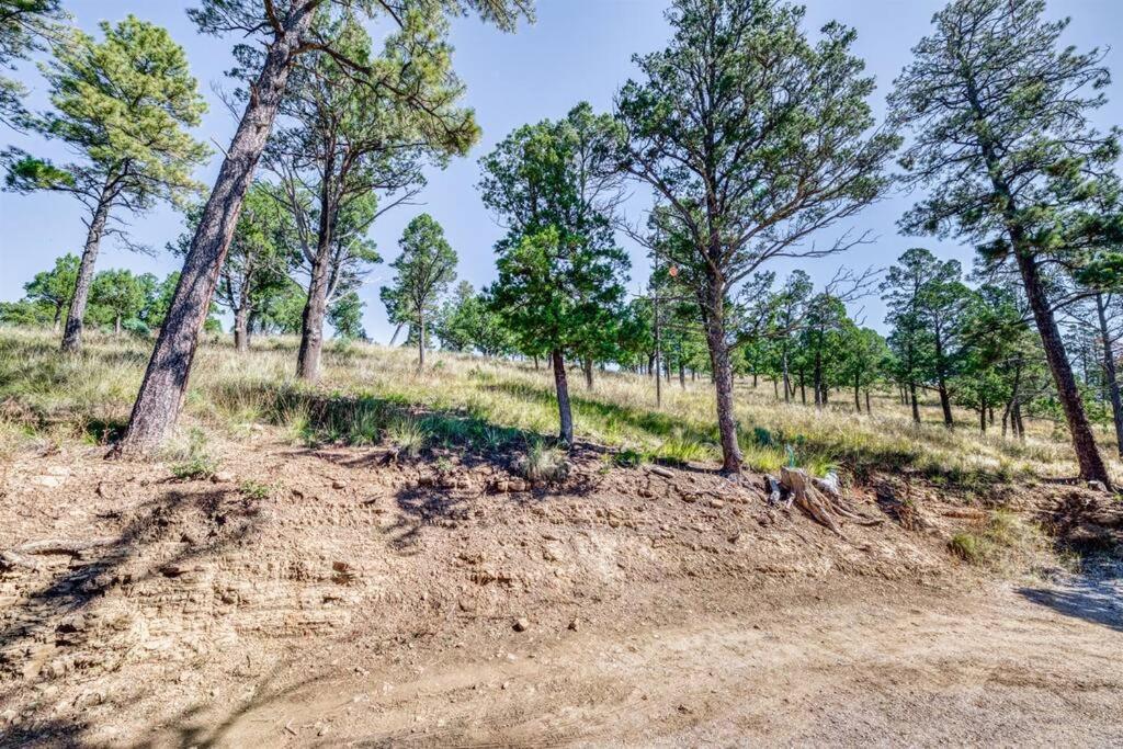 Perk Canyon Hidden Acres-Hot Tub-Gas Fireplace Ruidoso Exterior photo